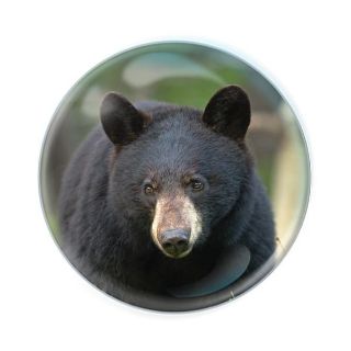 Obrázek z Magnet kulatý 5cm - medvěd černý (12) 